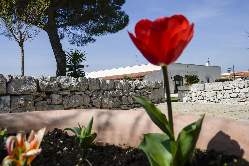 Masseria Gravelle Hotel Тури Екстериор снимка