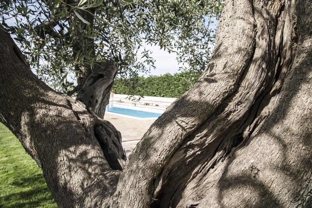 Masseria Gravelle Тури Екстериор снимка